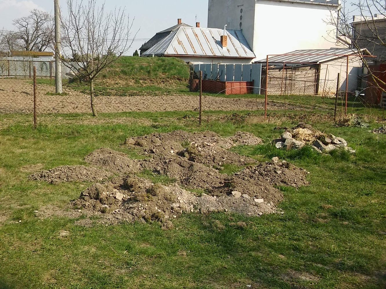 Záhrada v charitnom dome ožije!