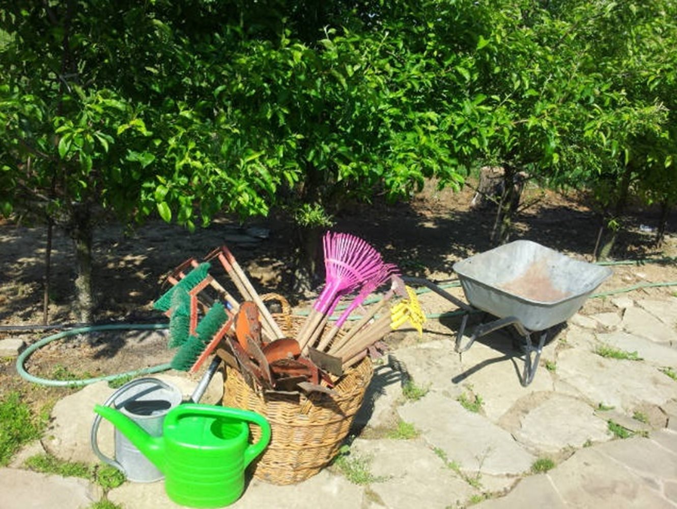 Krajšia školská záhrada v Bratislave už 3. 6. 2016