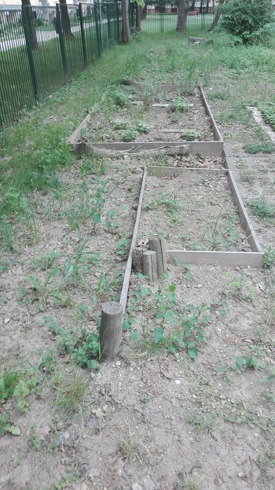 05.06.2018 budeme vysádzať bylinky a zeleninu