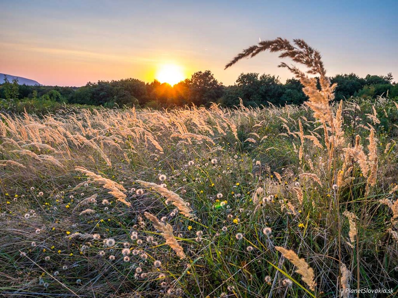 Poklad v rozprávkovom lese budeme hľadať 26.5.