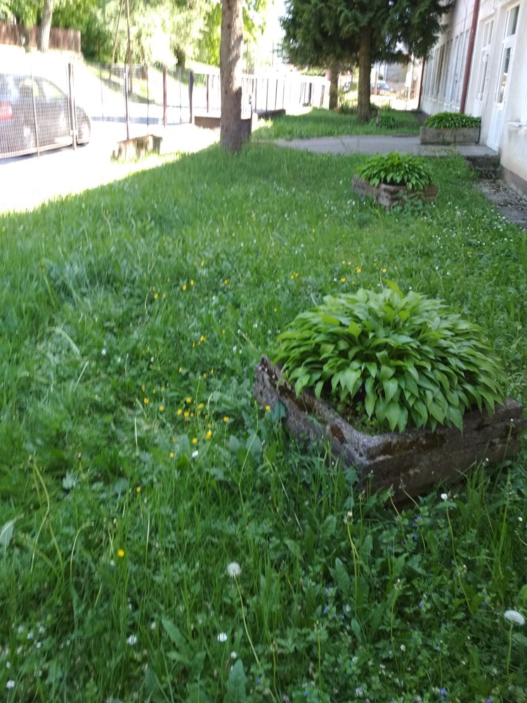 02.06. budujeme kvetinovú sklalku 