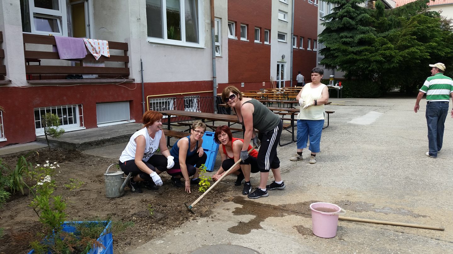 Klienti DSS v Košútoch s krajšou záhradou 