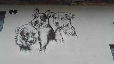 Dňa 4. 6. 2016 spríjemníme psíkom pobyt v útulku