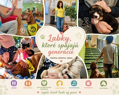 Labky, ktoré spájajú generácie-komunitná podpora s pomocou psov z útulku