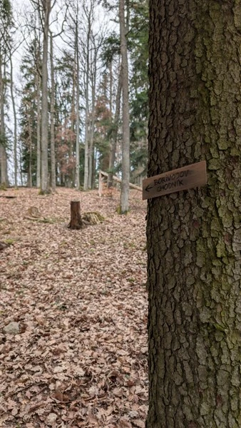 Chodníkom k predkom — náučný chodník k Badínskemu hradisku