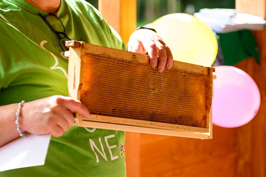 Iniciatíva dm {spoločne}