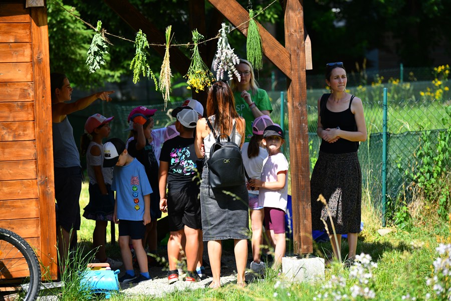 Iniciatíva dm {spoločne}