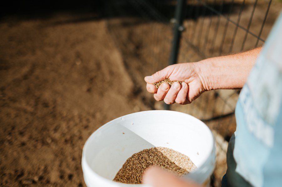 Iniciatíva dm {spoločne}