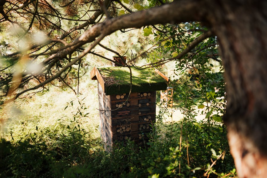 Iniciatíva dm {spoločne}