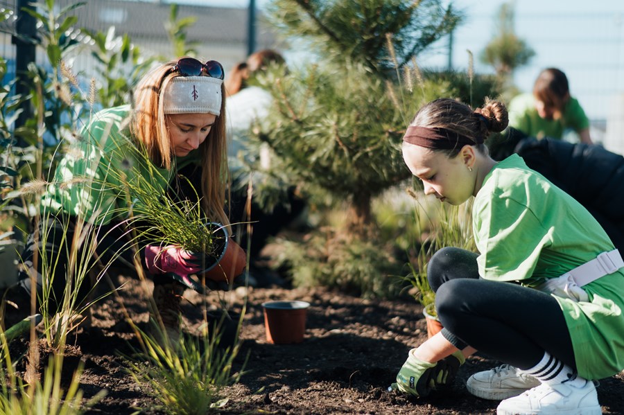 Iniciatíva dm {spoločne}