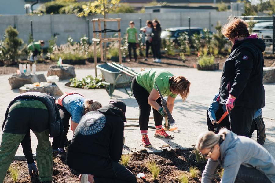 Iniciatíva dm {spoločne}