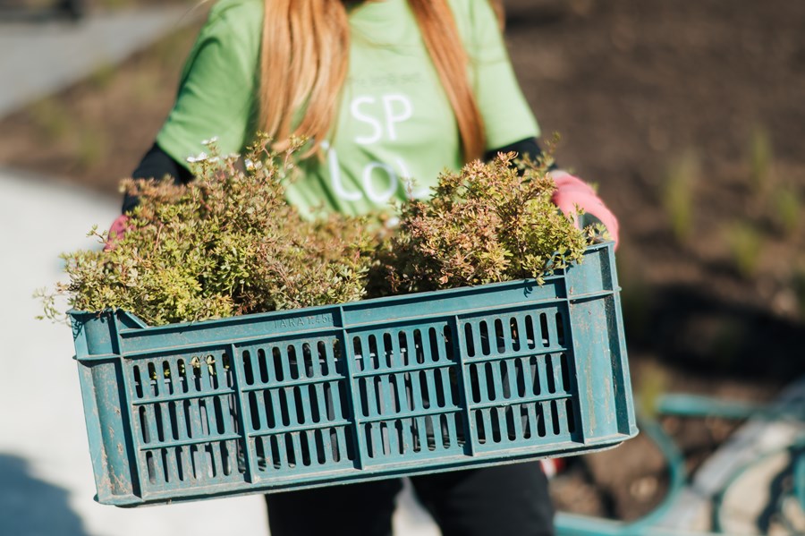 Iniciatíva dm {spoločne}