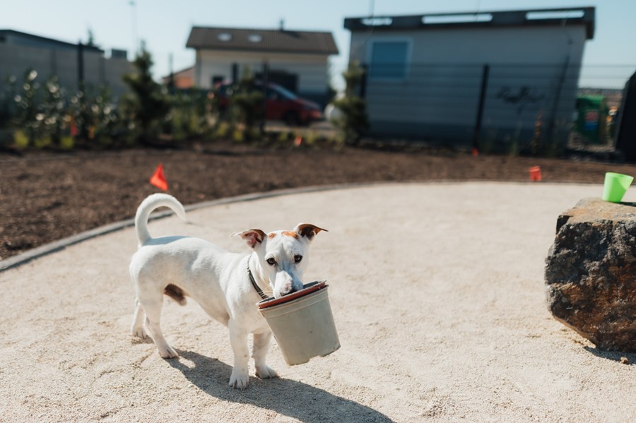Iniciatíva dm {spoločne}