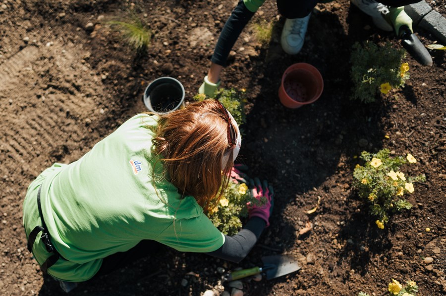 Iniciatíva dm {spoločne}