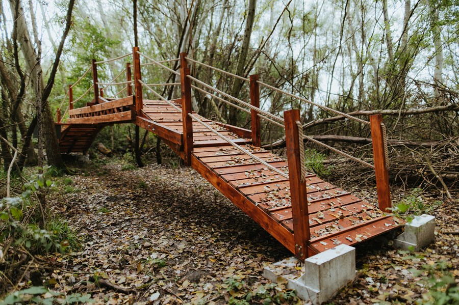 Iniciatíva dm {spoločne}