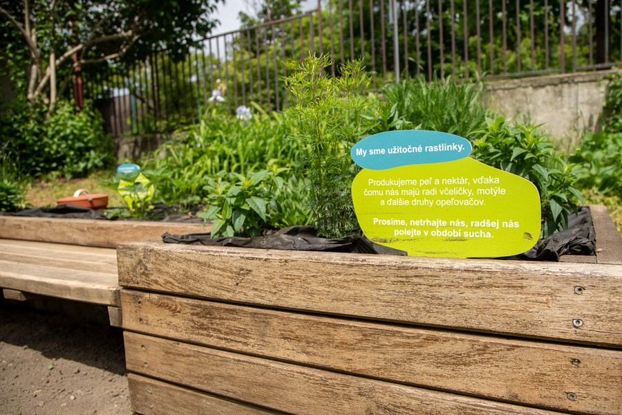 Iniciatíva dm {spoločne}