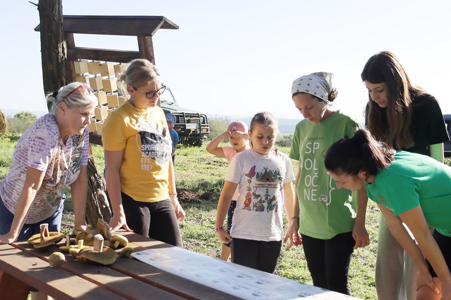 Iniciatíva dm {spoločne}