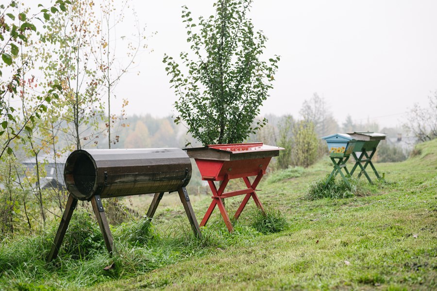 Iniciatíva dm {spoločne}