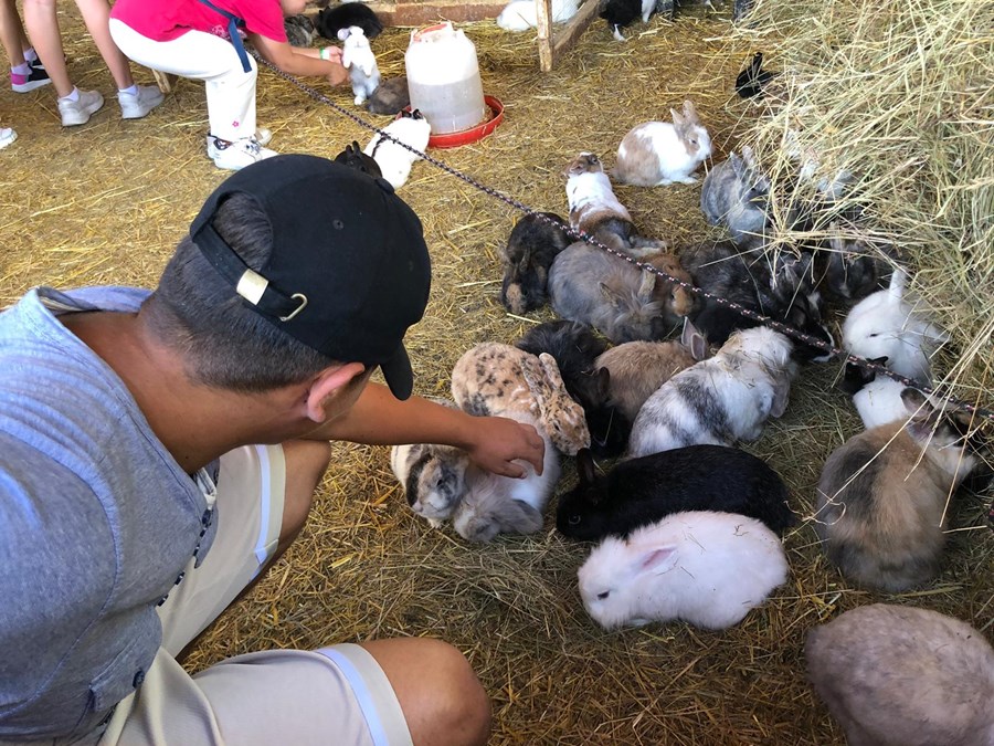 Iniciatíva dm {spoločne}