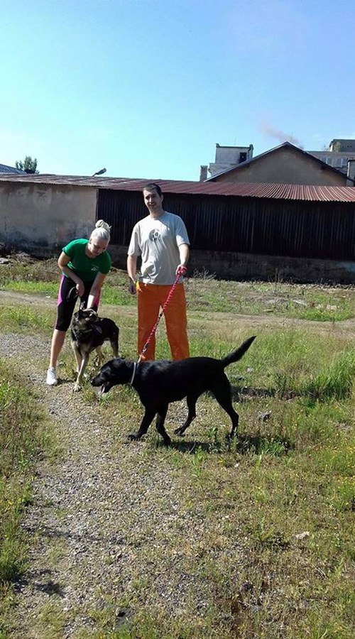 Iniciatíva dm {spoločne}