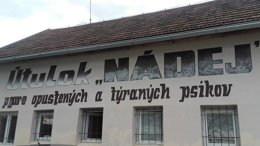 Iniciatíva dm {spoločne}