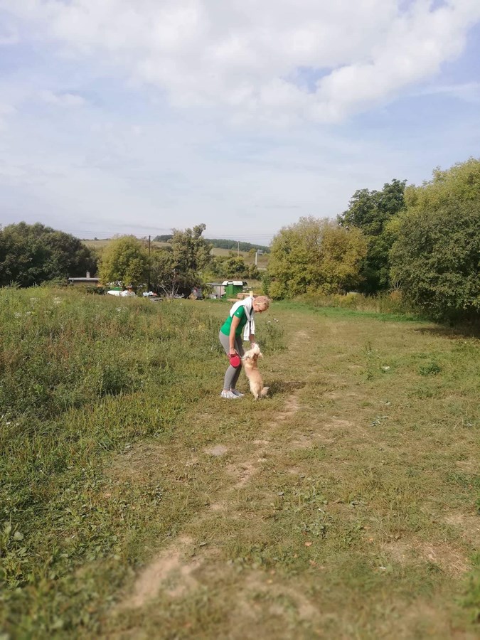Iniciatíva dm {spoločne}
