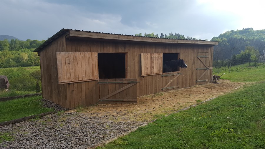 Iniciatíva dm {spoločne}