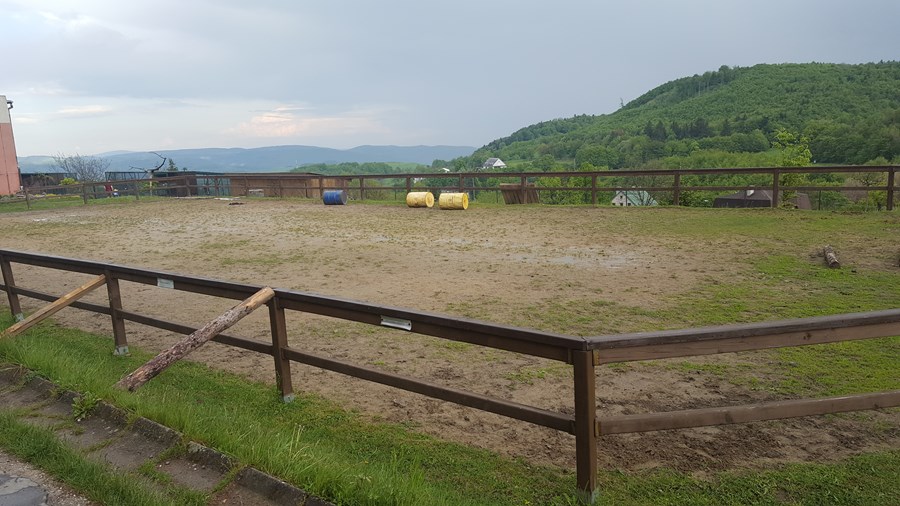 Iniciatíva dm {spoločne}