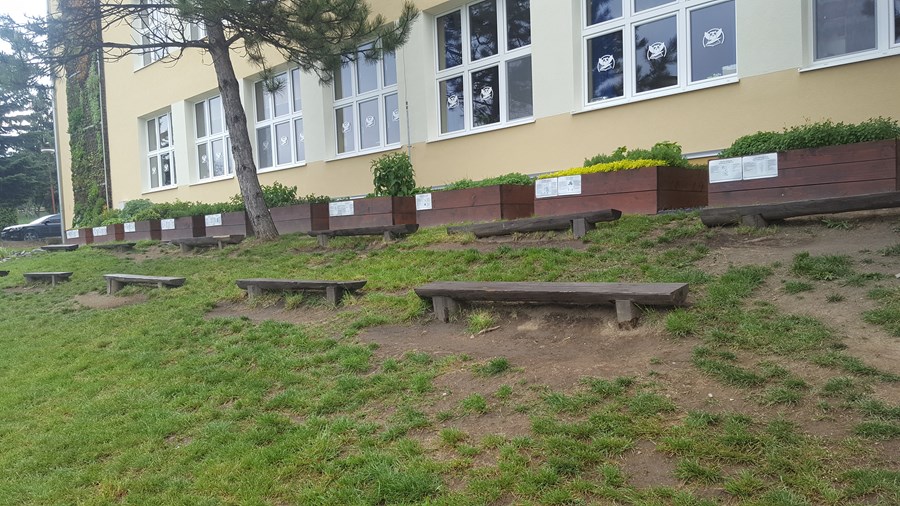Iniciatíva dm {spoločne}